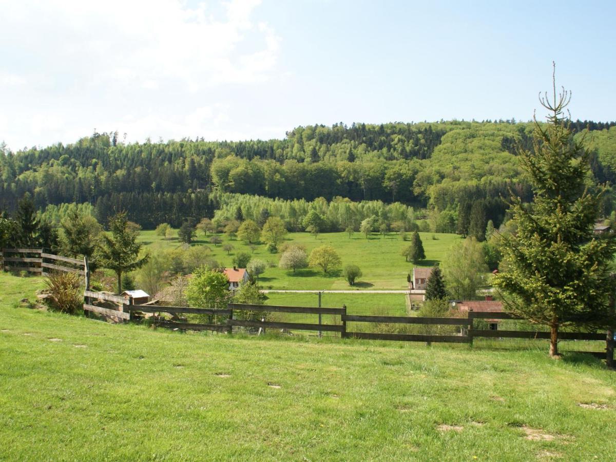Cosy Holiday Home With Garden In Walscheid Екстериор снимка
